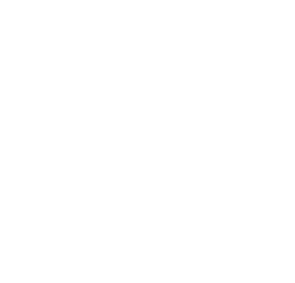 Client, Partner, Amazon