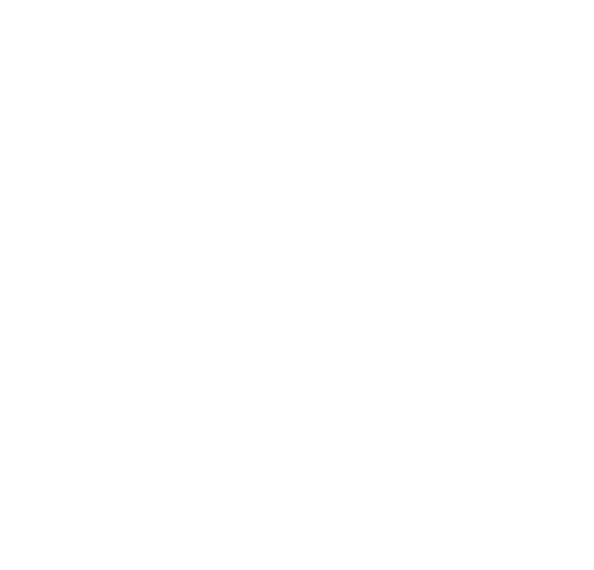 Client, Partner, PepsiCo